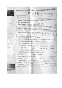 广西柳州市2023-2024学年五年级上学期期末考试语文试卷