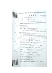 广西柳州市2023-2024学年四年级上学期期末考试语文试卷