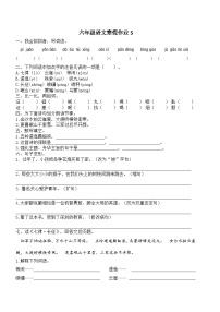 人教部编版小学六年级上册语文寒假作业5（复习旧知+课外积累+基础预习）（含答案）