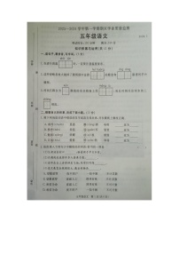 河北省廊坊市霸州市2023-2024学年五年级上学期1月期末语文试题