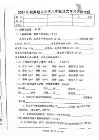 河南省南阳市宛城区2023-2024学年六年级上学期1月期末语文试题