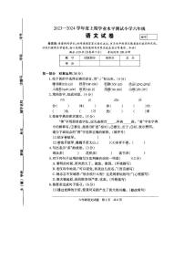 河南省驻马店市确山县2023-2024学年六年级上学期1月期末语文试题