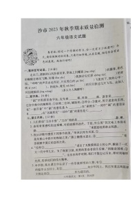 湖北省荆州市沙市区2023-2024学年六年级上学期期末考试语文试题