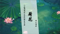 三年级下册荷花完整版习题ppt课件
