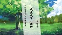 小学语文人教部编版三年级下册我变成了一棵树优质习题课件ppt