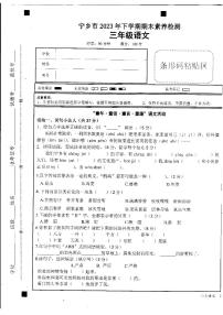 湖南省长沙市宁乡市2023-2024学年三年级上学期期末语文试卷