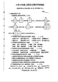 江苏省徐州市铜山区2023-2024学年六年级上学期期末语文试卷