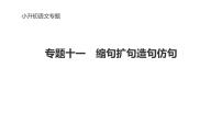 专题11 缩句、扩句、造句、仿句-2024年小升初语文必考考点专题复习（部编版）课件PPT