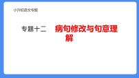 专题12 句意理解与修改病句-2024年小升初语文必考考点专题复习（部编版）课件PPT