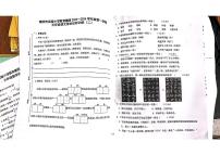 福建省莆田市荔城区实验小学2023-2024学年五年级下学期期末语文试卷