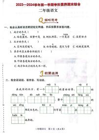 深圳市龙岗区2023-2024二年级上册语文期末试卷及答案