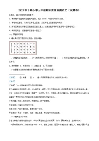 2023-2024学年湖南省怀化市通道县部编版五年级上册期末考试语文试卷