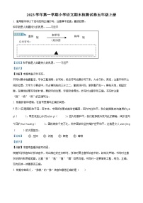 2023-2024学年浙江省温州市龙湾区部编版五年级上册期末考试语文试卷