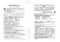 安徽省合肥市包河区2023-2024学年三年级上语文期末试卷