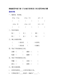 小学飞向蓝天的恐龙课时作业