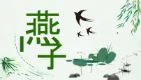 人教部编版三年级下册燕子示范课ppt课件