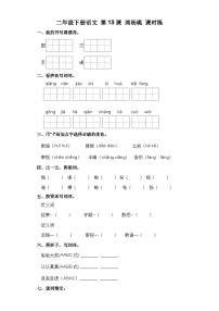 小学语文人教部编版二年级下册画杨桃巩固练习