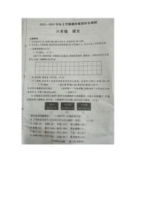 河南省信阳市浉河区2023-2024学年六年级上学期期中语文试题