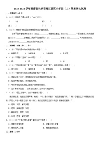 湖南省长沙市湘江新区2023-2024学年六年级上学期期末语文试卷