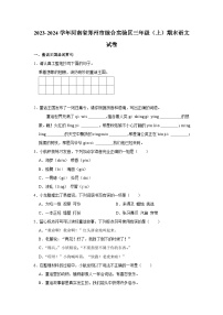 河南省郑州市综合实验区2023-2024学年三年级上学期期末学业语文试卷