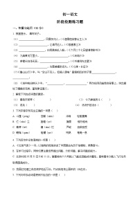 山东省烟台市芝罘区（五四制）2023-2024学年六年级上学期期末语文试题（原卷+解析）