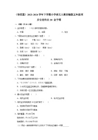 小学语文人教部编版五年级下册金字塔精练