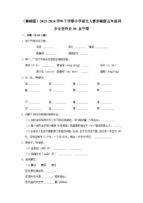 小学语文人教部编版五年级下册金字塔练习