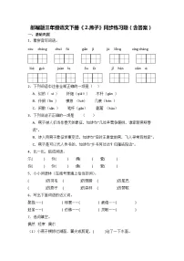 人教部编版三年级下册燕子综合训练题