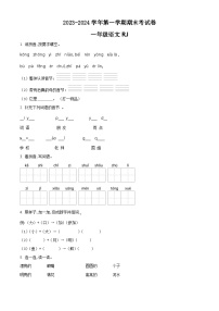 2023-2024学年河南省周口市项城市实验小学等校部编版一年级上册期末考试语文试卷（原卷+解析）