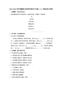 安徽省合肥市庐阳区2023-2024学年六年级上学期期末语文试卷