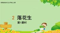 人教部编版五年级上册落花生评课课件ppt