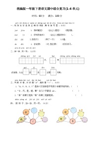 期中综合复习(试题)+2023-2024学年统编版语文一年级下册