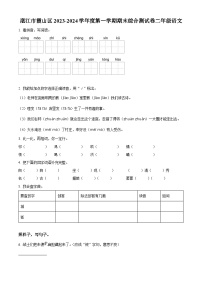 2023-2024学年广东省湛江市霞山区部编版二年级上册期末考试语文试卷（原卷版+解析版）