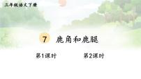 语文人教部编版鹿腿教学课件ppt