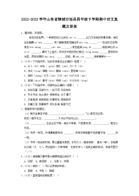 2022-2023学年山东省聊城市冠县四年级下学期期中语文真题及答案