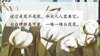 小学语文人教部编版一年级下册棉花姑娘评优课课件ppt