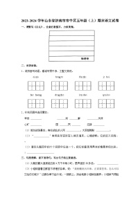 2023-2024学年山东省济南市市中区五年级上学期期末语文试卷（含答案）