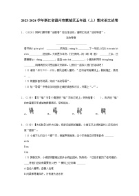 2023-2024学年浙江省温州市鹿城区五年级上学期期末语文试卷（含答案）