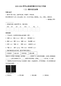 2023-2024学年山东省济南市市中区部编版六年级上册期末考试语文试卷（原卷版+解析版）