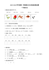 2023-2024学年山东省聊城市阳谷县部编版一年级上册期末考试语文试卷（原卷版+解析版）