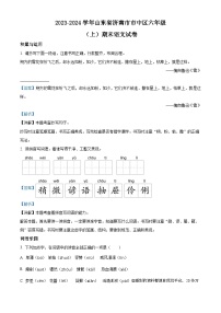 2023-2024学年山东省济南市市中区部编版六年级上册期末考试语文试卷