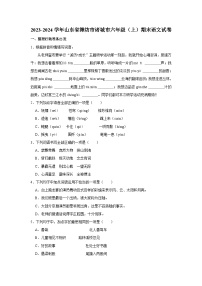 20，山东省潍坊市诸城市2023-2024学年六年级上学期期末语文试卷