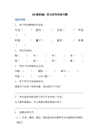 小学红楼春趣当堂达标检测题