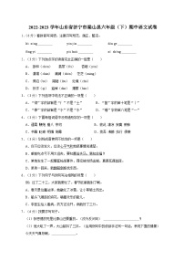 六年级下学期期中语文试卷（原卷+答案）2024人教部编版