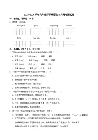 六年级下学期5月月考测语文试卷（原卷+答案解释）2023-2024学年部编版