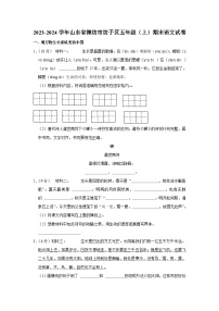 山东省潍坊市潍城区2023-2024学年五年级上学期期末语文试卷