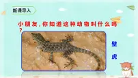 一年级下册小壁虎借尾巴课文内容ppt课件