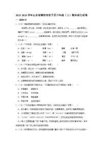 山东省潍坊市潍城区2023-2024学年六年级上学期期末语文试题