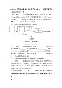 山东省潍坊市潍城区2023-2024学年五年级上学期期末语文试卷