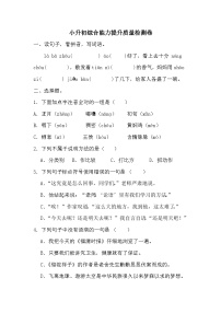 小升初综合能力提升质量检测卷（六）-2023-2024学年语文六年级下册统编版